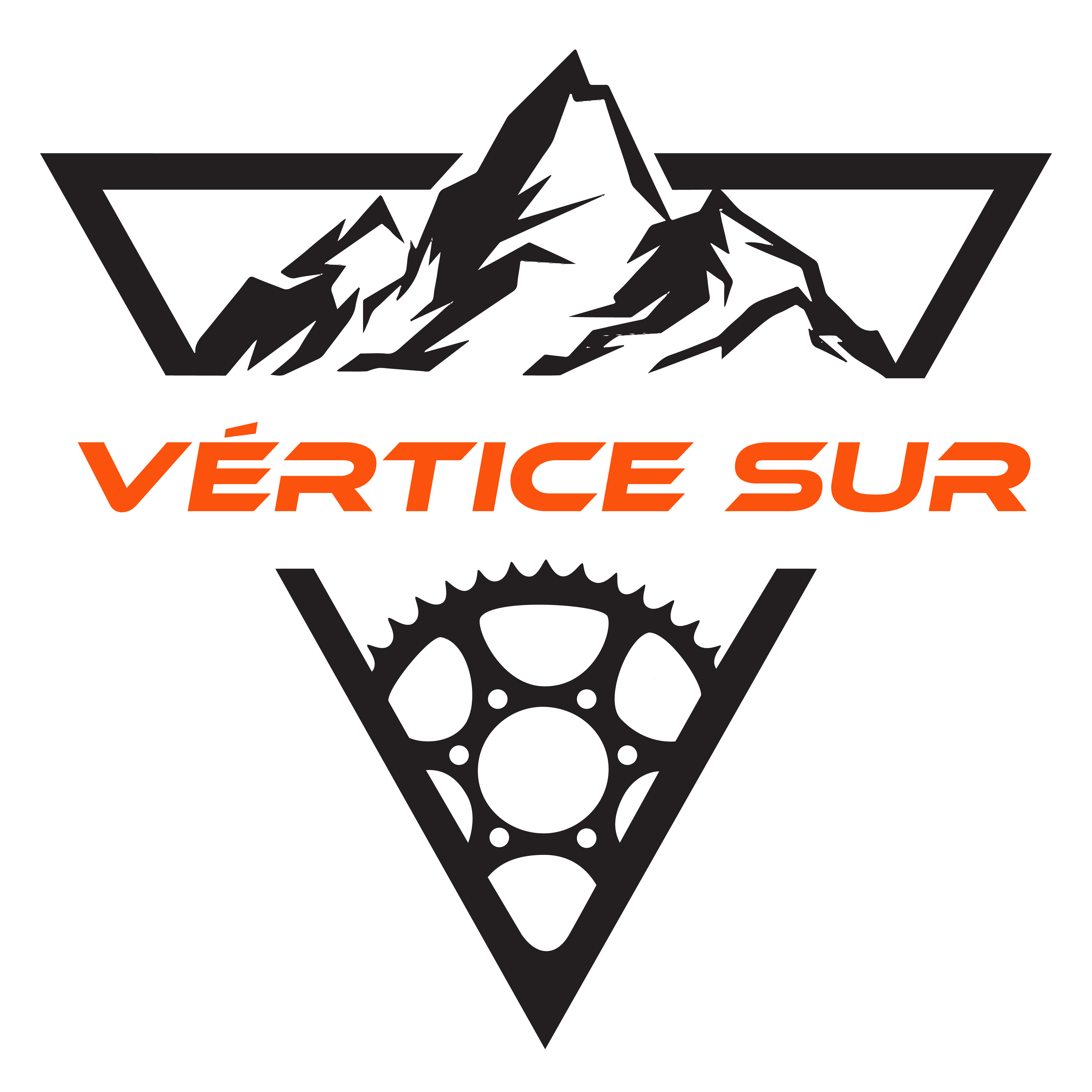 Logo vertice sur