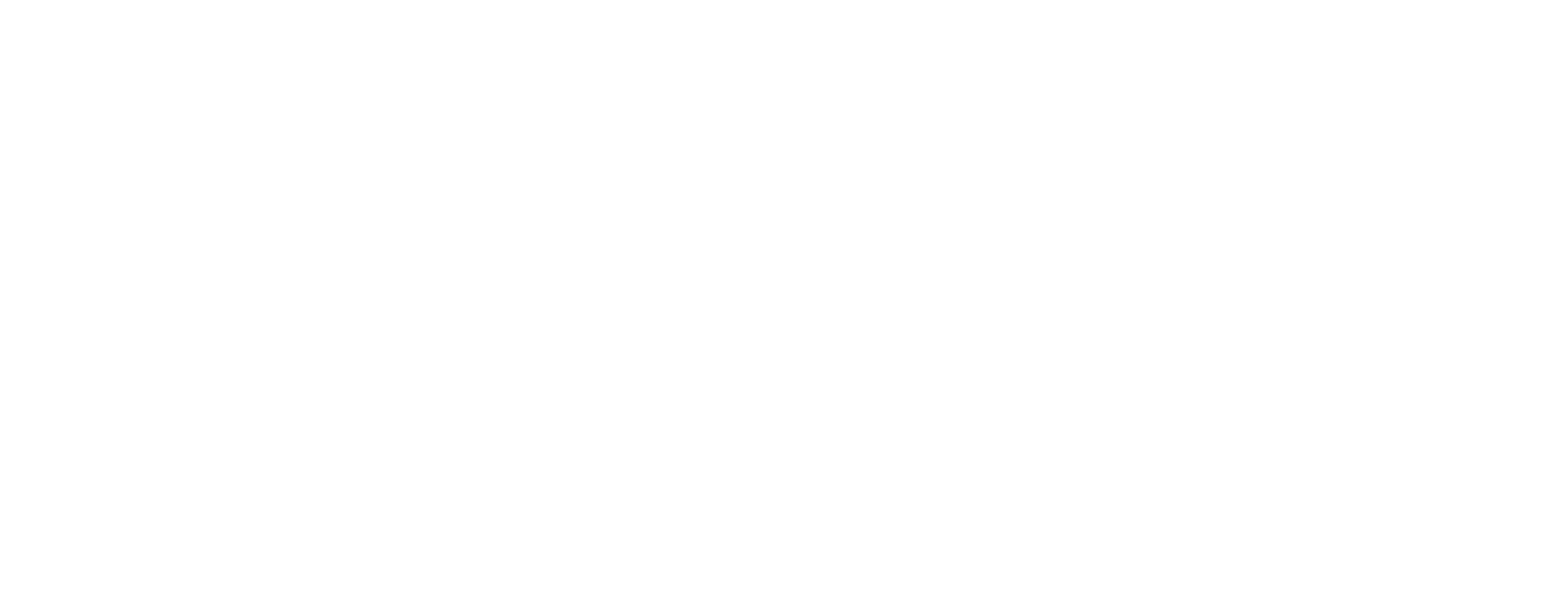 Logo cono sur